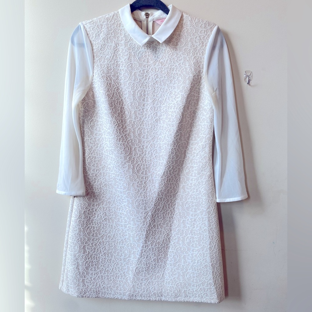 Ted Baker London Dress Lace Sheer Cream Size 2 Small High-end Luxury Brand MIDI
